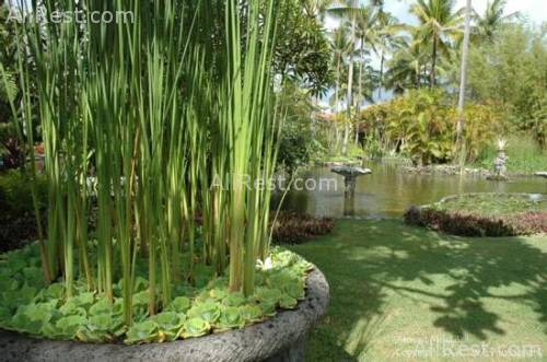 Melia Bali - The Garden Villas 43